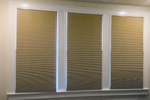 Cocoon Cellular Shades